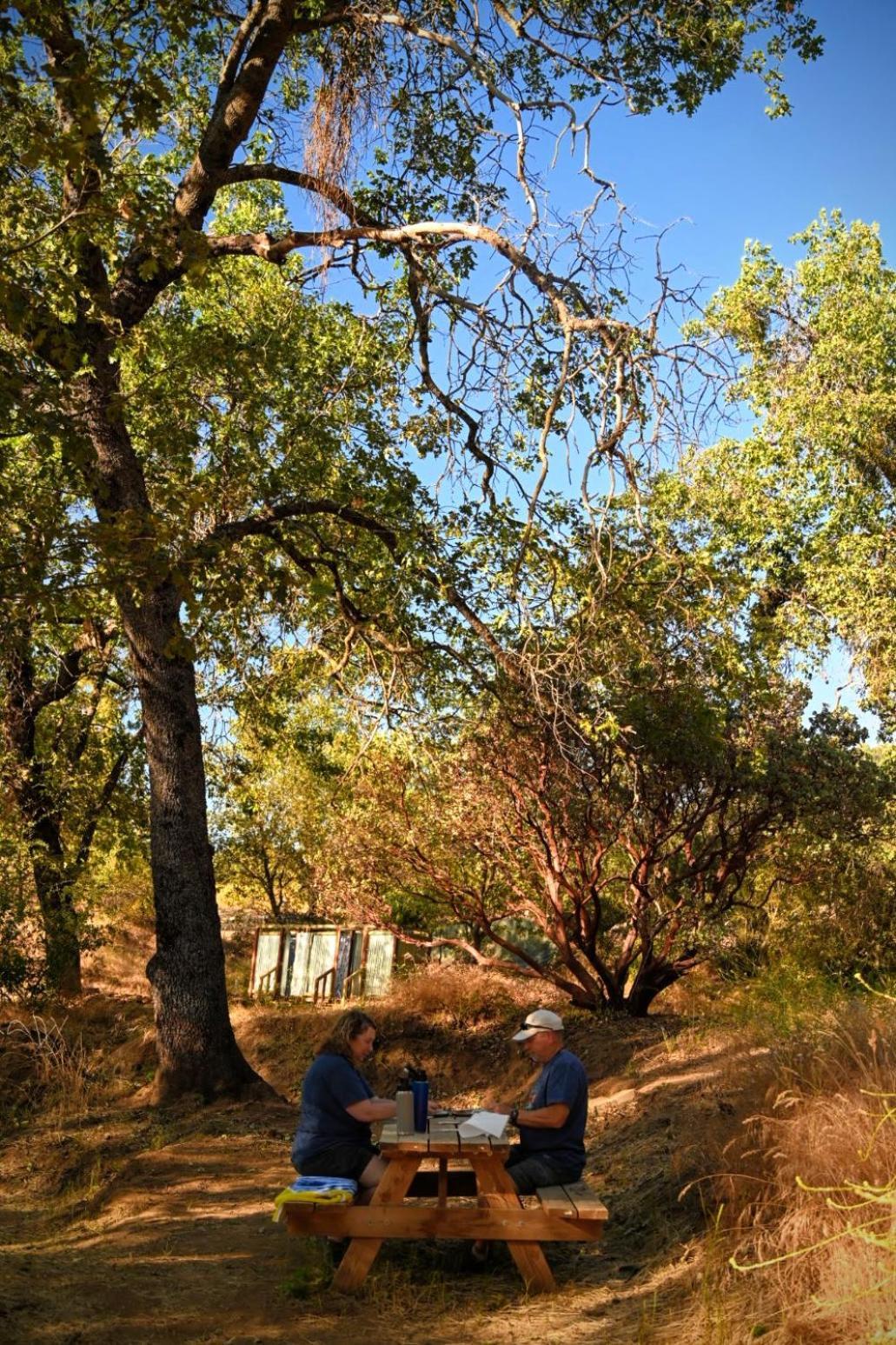 Campground At Sequoia Mountain Farms - Bring Your Own Tent Or Rv - No Bedrooms Or Beds Provided Miramonte Exterior foto
